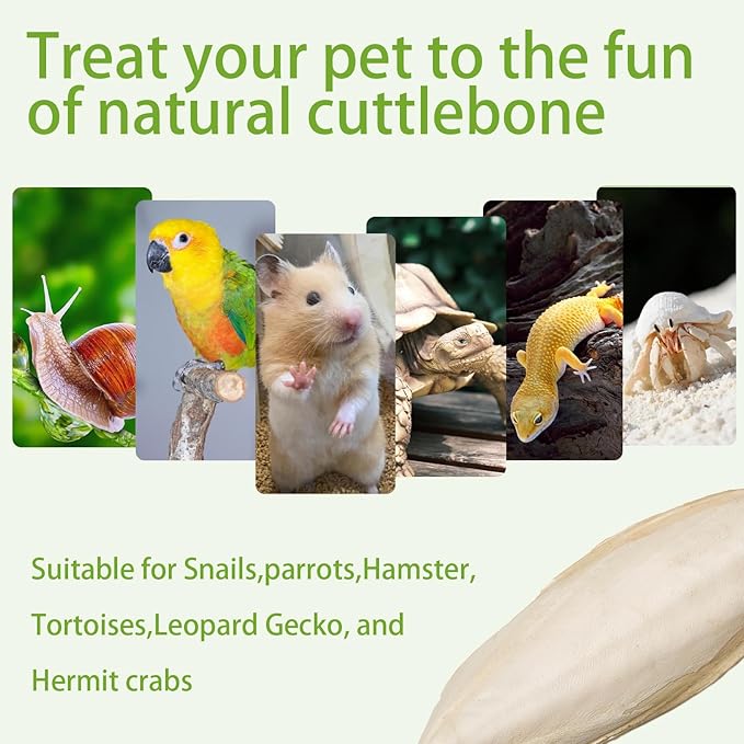 4.8"-5.1" Cuttlebone for Birds,Parakeets Cuddle Bone Beak Trimming,Premium Calcium Natural Cuttlefish Bone for Parrot,Cockatiel,Budgie,Tortoise, Snails,Reptiles,20 Pcs