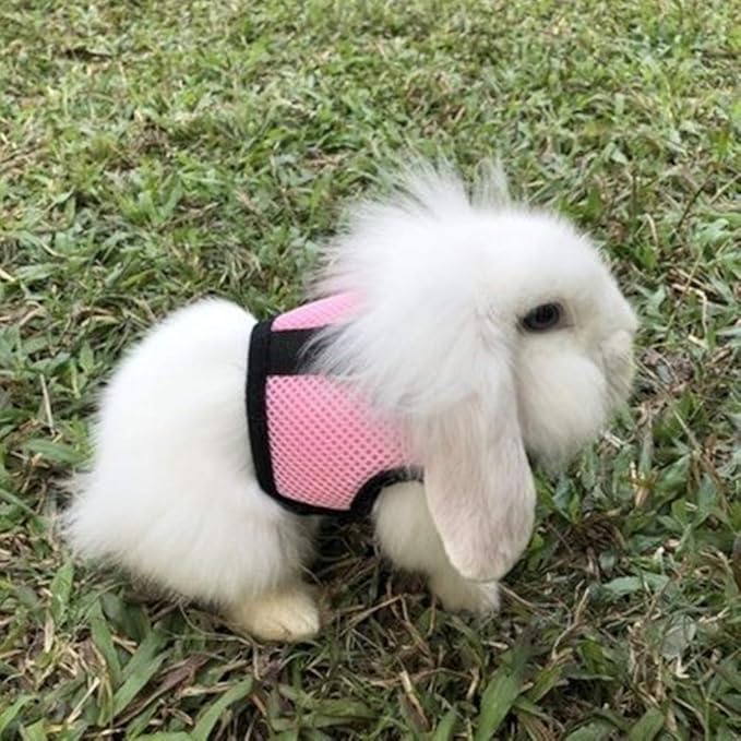 Rabbit Harness with Leash Adjustable Soft Mesh Vest Harness for Bunny Kitten Guinea Pig Rat (L, Pink)