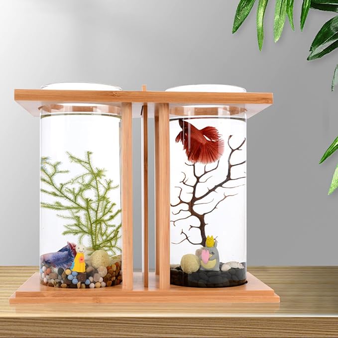 Desktop Mini Fish Tank, Dual Cylinder Glass Aquarium with LED Light, Bamboo Frame 360° View, Small Betta Goldfish Tank for Home Office Desk, 3.35 inch Diameter