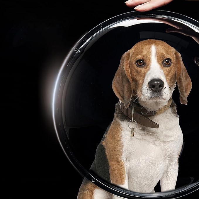 2 PCS Dog Fence Window with Air Holes, Clear Acrylic Pet Dome View, Bubble Peek Window Playground Doggie Fence Window, Inside Length 11.8 Inch and Deep 6 Inch, for Dog Cat Transparent