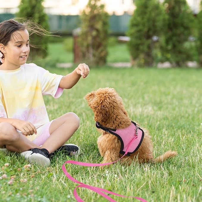 YARNOW 2pcs Adjustable Small Pet Harness Leash Set for Rabbits and Guinea Pigs – Breathable Mesh Vest, Medium Size, Outdoor Walking and Training Safety Gear