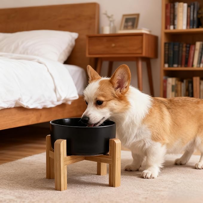 Elevated/Raised Ceramic Dog Bowl with Bamboo Stand,6 Inch 3.6 Cups Non Slip Heavy Weighted Single Pet Dish, for Small Medium Breed & Cats,Reduces Neck Strain Black