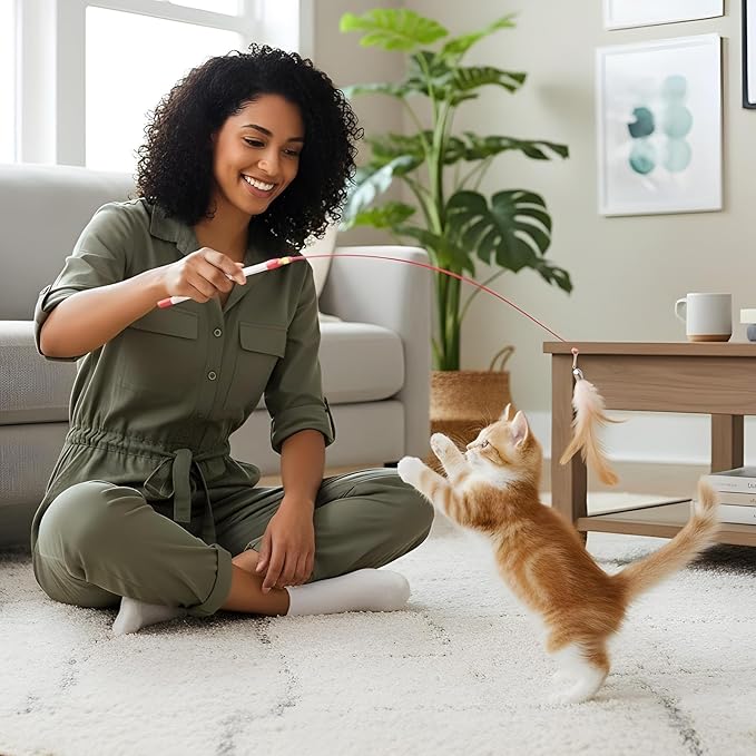 4 Pcs Cat Feather Toys, Interactive Cat Feather Wand Toy Pet Teaser Wire Wand with Bell Beads Wands Toys for Cats Chase Exercise Play