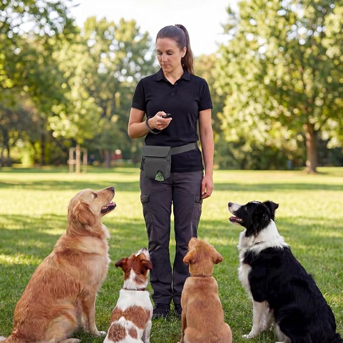 Dog Treat Pouch and Dog Training Clicker, Treat Bag with Poop Bag Dispenser, Powerful Magenetic Clasp, Metal Clip Waist Belt Fanny Pack for Pet Walk Dog Training (Dark Grey)