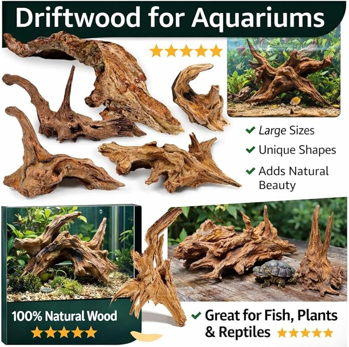 Azil Natural Driftwood 6'' - 8''(3pcs) Perfect Aquarium Decoration! Ideal for Fish Tanks, Freshwater Aquariums, terrariums, aquascaping, hardscaping,Aquatic Plants.