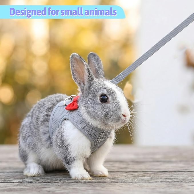 Bunny Leash and Harness Set, Breathable Rabbit Harness Vest, Adjustable Straps Design, Soft Mesh Harnesses for Puppies, Kitten, Guinea Pigs, Grey S