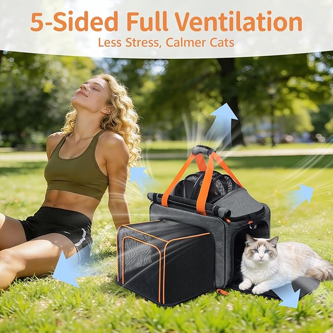 Cat Pet Carrier Soft Sided Bag Airline Approved, Foldable Travel Large Carrier for Small Kittens Medium Cats Up to 13 Lbs, Expandable Carrying Case for Car, Comfortable for Transport