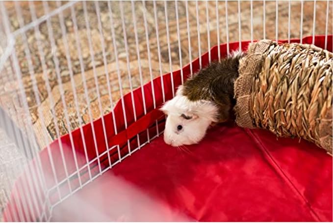 Prevue Pet Products Hendryx Nature's Hideaway Grass Tunnel Toy - for Guinea Pigs, Dwarf Rabbits, Rats, Ferrets, Woven Hay & Grass, Natural Hide & Explore Toy
