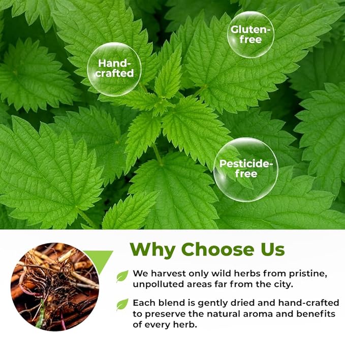 30 Bags Nettle Root Dried Stinging Nettle Root Herbal Tea - 30 Count 2g Bags Herb Tea Raíz De Ortiga