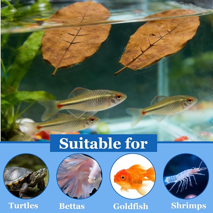 10Pcs Catappa Indian Almond Leaves Aquarium Decor Water Conditioner | Betta Fish Tank Decor,for Betta Fish Shrimp Goldfish Guppy,Balance PH,Natural Tannins,Axolotl Tank Accessories