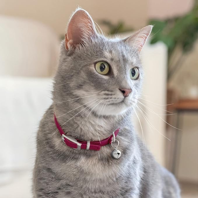 CollarDirect Leather Cat Collar with Removable Bell – Safety Elastic Strap (Breakaway Alternative) – Kitten Collar for Small & Big Boy & Girl Cats