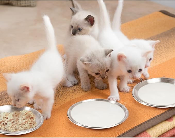 Stainless Steel Cat Dishes for Food and Water Bowls for Kittens and Baby Cats Small Pets Relief of Whisker Fatigue -2 Sets Shallow Style