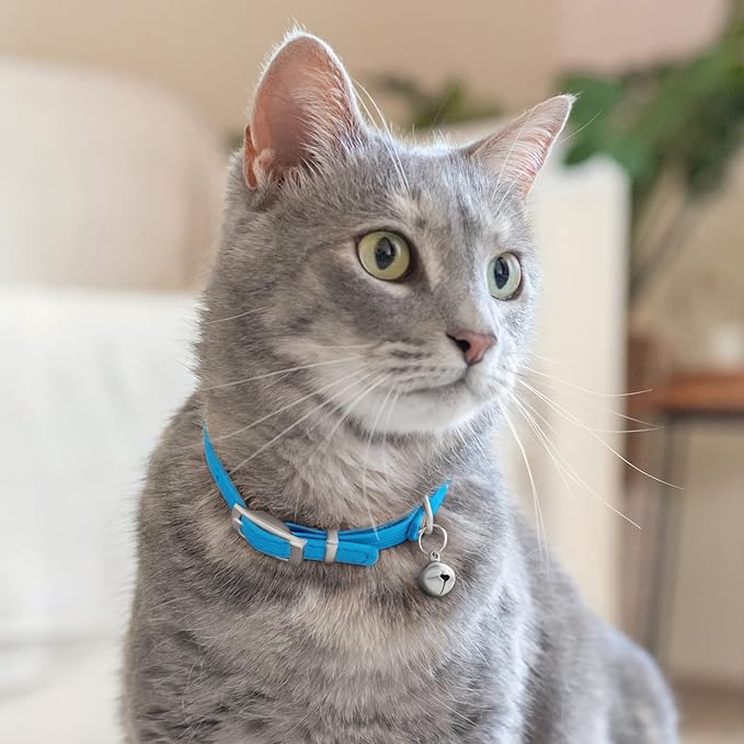 CollarDirect Leather Cat Collar with Removable Bell – Safety Elastic Strap (Breakaway Alternative) – Kitten Collar for Small & Big Boy & Girl Cats