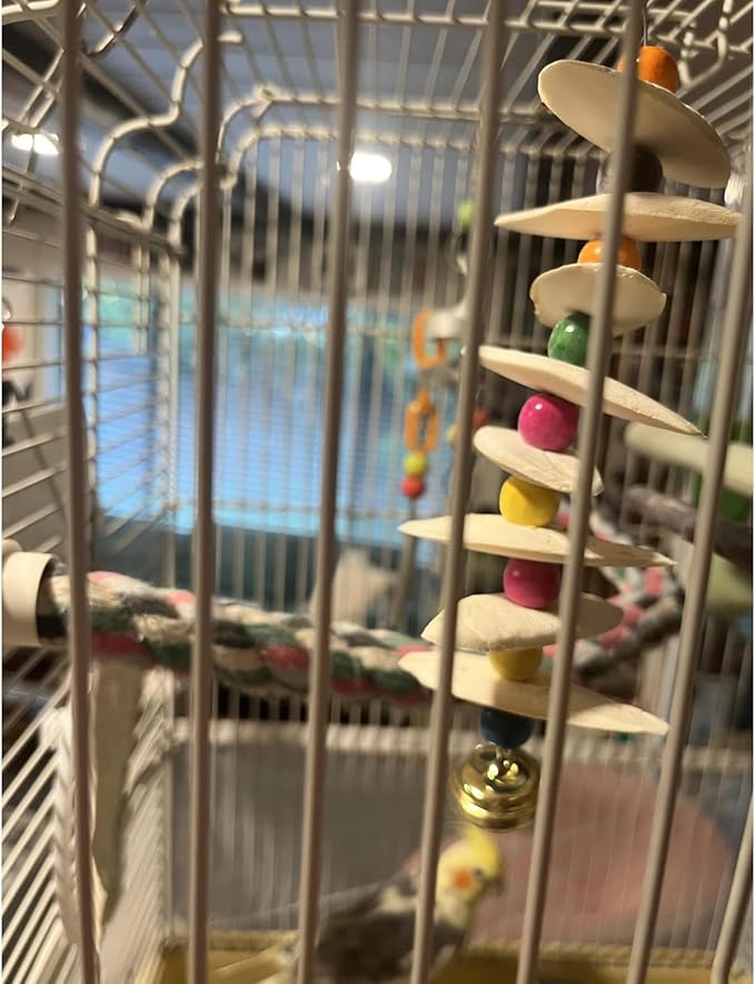 2 Pack Bird Toys with Cuttlebone, Parakeet Toys, Bird Beak Grinding Stone, Cage Accessories for for Parakeet Conure Lovebird Cockatiel Finch Canary Hamster Chinchilla Rabbit (Large)