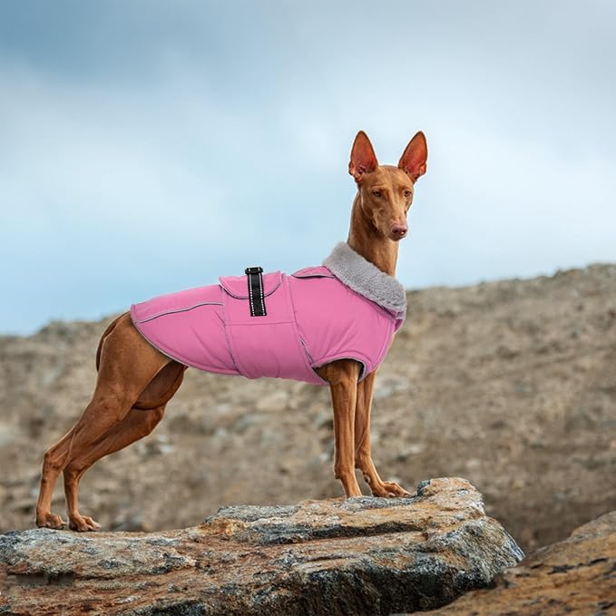 Lelepet Warm Dog Coats for Small Dogs Waterproof Dog Winter Jacket Reflective Pet Fleece Vest Windproof Cold Weather Coats with Adjustable Buckle & Leash Hole, Pink, S