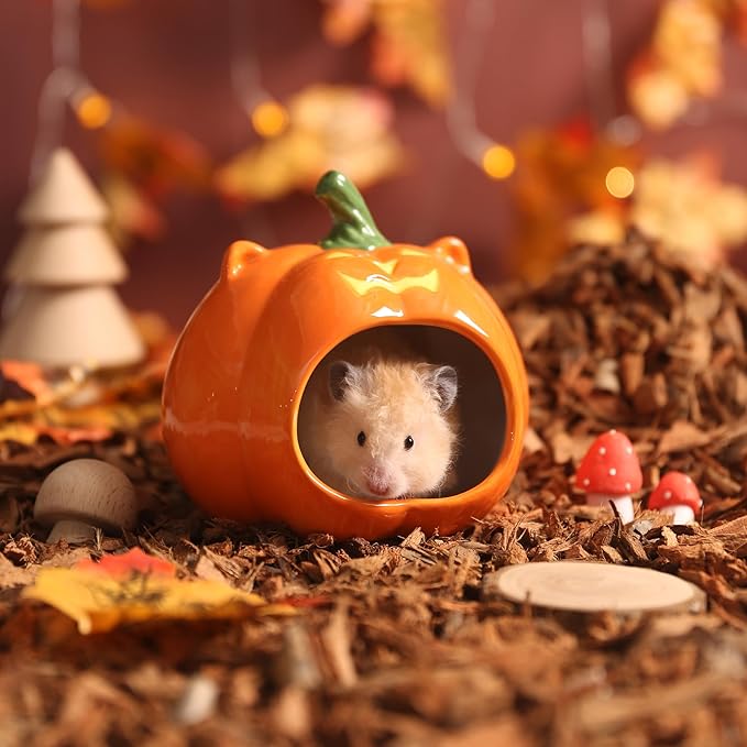 Pumpkin Shaped Ceramic Hamster Hideout - Small Pet House for Syrian Dwarf Hamsters, Gerbils, Mice, Rats