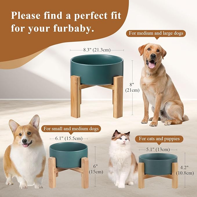 Elevated Ceramic Cat Bowl - Cat Food Bowl with Bamboo Stand - Raised Dog Dish for Puppies - Anti Vomiting, Stress Free - 13.5 oz / 400 ml - White