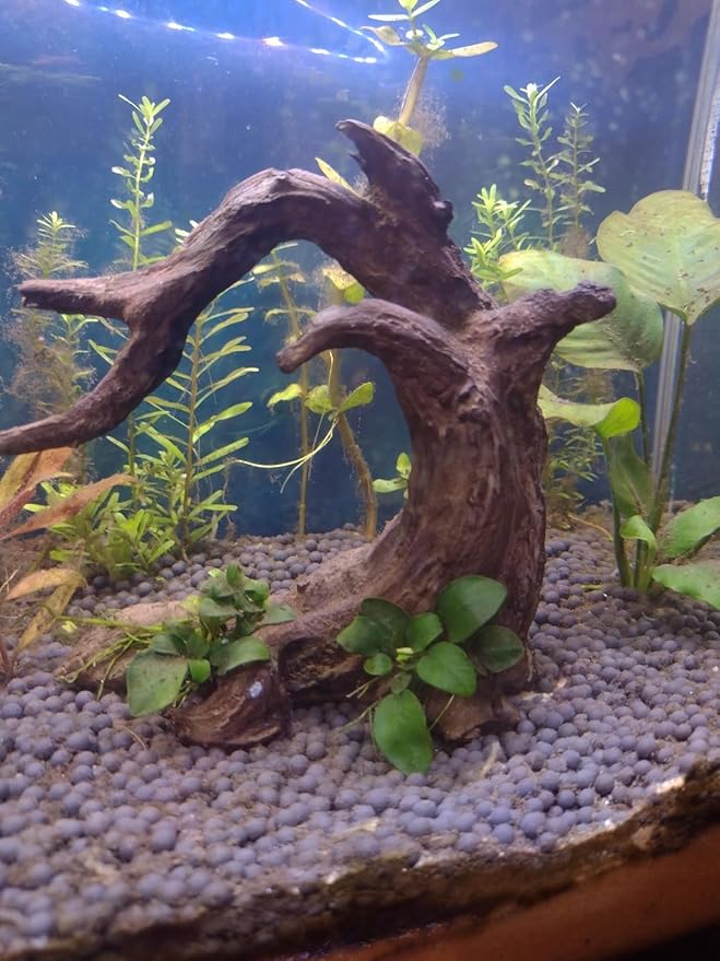 Aquarium Driftwood Decor Set - 1 Anubias Resin Model & 3Pcs Small Natural Driftwood 2-4 inch for Aquascaping, Fish Tank Landscape Design
