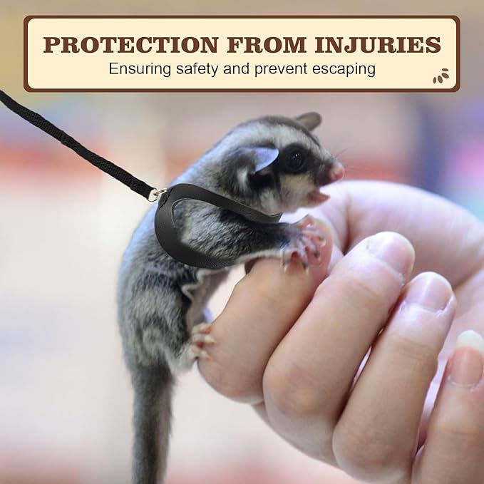 3Pcs Sugar Gilder Harness and Leash Set, Adjustable Squirrel Harness Small Animal Training Walking Vest for Rabbit, Guinea Pigs, Bearded Dragon (Black)