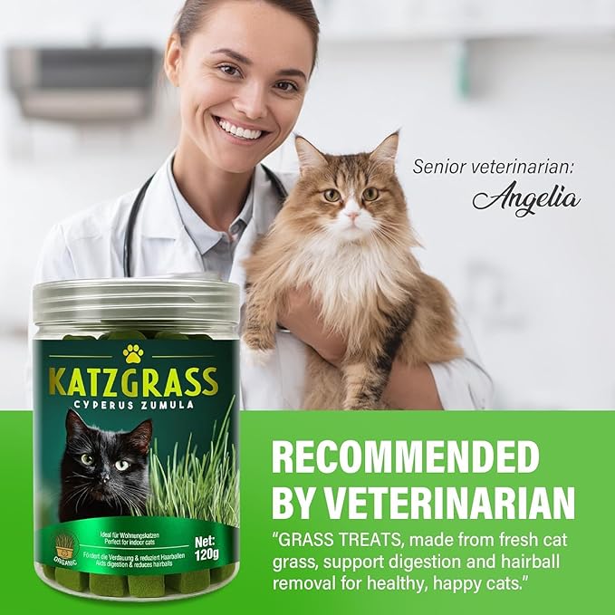 Cat Grass Treats for Indoor Cats | Salmon & Catnip Dental Snacks | Hairball Control & Teeth Cleaning | Freeze-Dried Training Rewards