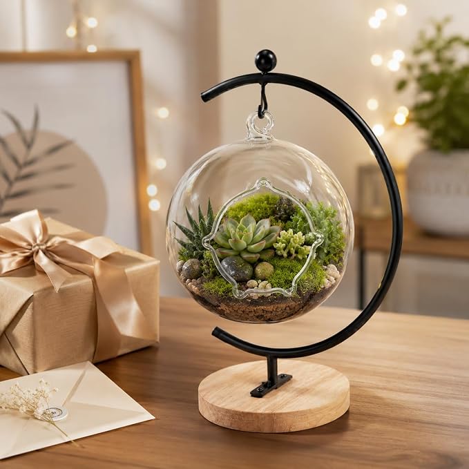 Terrarium Globe Kit, 4.7" Hanging Terrarium for Plants | Small Floating Garden with Wooden Display Stand for Succulents, Indoor Nature Decor, Easy Assembly, Gift for Plant Lover