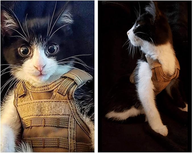 Ferret Clothes Small Animals Harness Military Style Adjustable Shoulder Straps Soft Mesh Comfort Durable Nylon Padded Vest Ferret Guinea Pig Hamster Bunny Kitten Puppy Small Pet Clothes Accessory