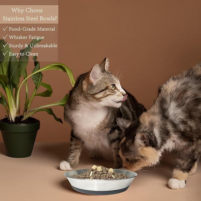 2 Pack Stainless Steel Whisker Friendly Shallow and Wide Cat Bowls for Food and Water, Non-Slip Silicone Cute Bottom for Small Dog Puppies Cats.