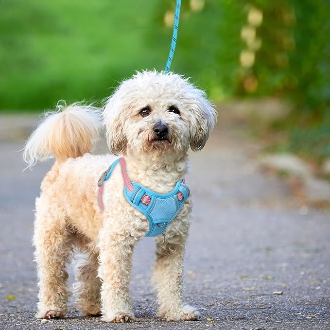 BARKBAY No Pull Dog Harness Large Reflective Dog Harness with Front Clip and Easy Control Handle for Walking Training Running with ID tag Pocket(Baby Blue & Baby Pink,XS)