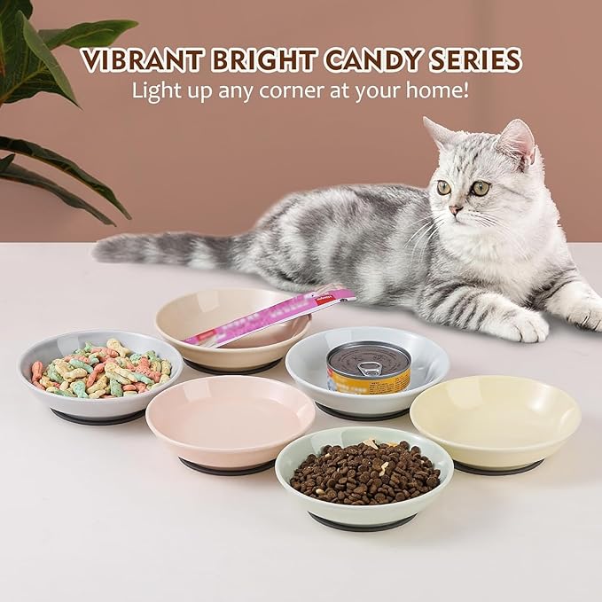 Ceramic Cat Food Bowl Set - 5.6 inch Colorful Cat Feeding Bowls with Non Slip Pads - Wide Shallow Whisker Friendly Plates Cute Dish - Microwave and Dishwasher Safe - 6 Pack - 5.3 oz
