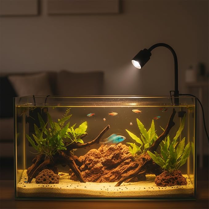 Mini Aquarium Spotlight, Clip-On Gooseneck Lamp, 15°-90° Zoom | Tri-Color White/Warm White/Warm Light, Dimmable 3W USB, 5.2 In Gooseneck, Fits Glass Up To 8mm
