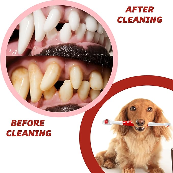 Pet Toothbrush for Dogs, Cats with Soft Bristles - Easy Teeth Cleaning & Dental Care, Non Slip Dual Head Dog Toothbrush for Medium & Large Pets, Toothpaste Not Included (Pack of 4(Multi))