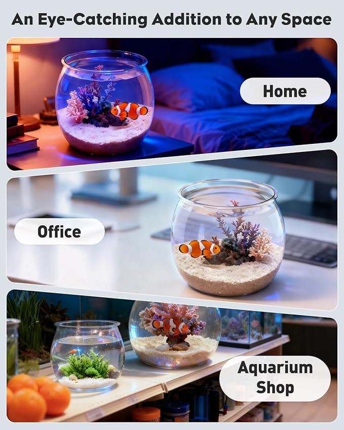 Pawfly 1 Gallon Small Plastic Fish Bowl, Unbreakable Small Fishbowl Desktop Aquarium, Clear Round Plastic Fish Tank for Small Fish, Shatterproof Betta Fish Tank Goldfish Bowl, Decorative Globe Vase
