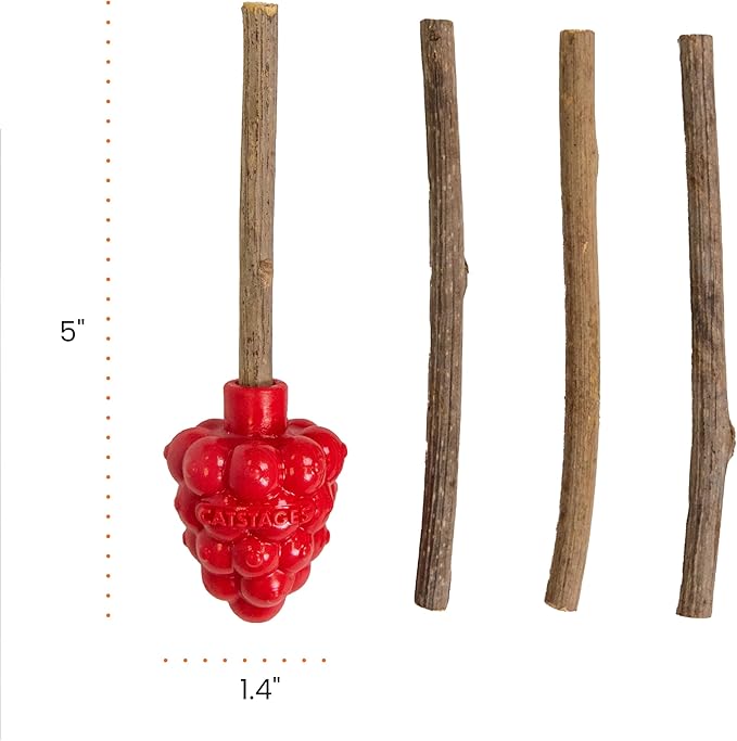 Catstages Dental Raspberry Teether with 4 Silvervine Sticks Included, Cat and Kitten Teething Toy, Red