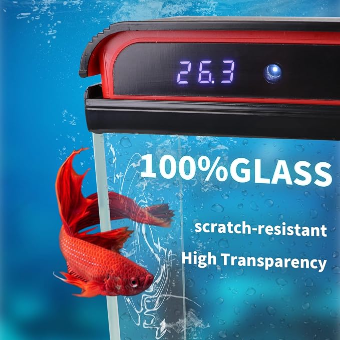 5 Gallon Fish Tank, Betta Fish Tank Small Aquarium Starter Kits Self Cleaning with 3 Types of LED Lights and Filter Water Pump, Ultra Quiet Decoration Kids Room Gift with Glass Aquarium