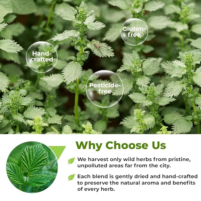 4 oz. Catnip Tea Catnip Herb Tea (Nepeta L.) - 113g Cat Nip Herb Hierba Gatera