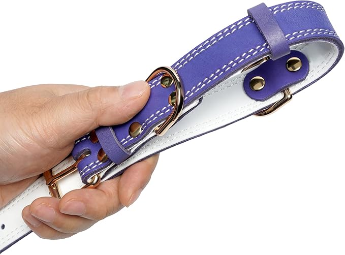 Genuine Leather Dog Collar, Heavy Duty Wide Dog Collar for Small, Medium, Large and Extra Large Dog (S: 0.8" Wide for 13.4"-15.8" Neck, Dual Stitch - Purple)