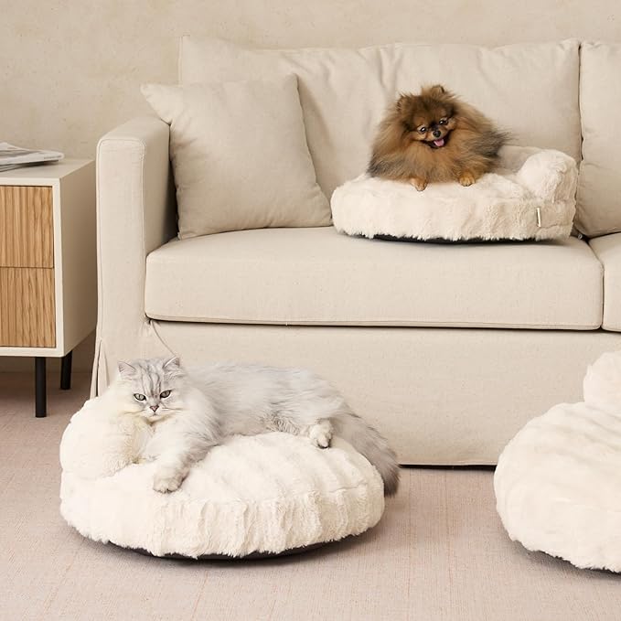 EHEYCIGA Soft Cat Couch Bed for Indoor Cats, Fluffy Small Dog Bed with Removable Washable Cover, Bolster Pet Sofa, Waterproof and Non-Slip, 23" x 23"x 7", Cream