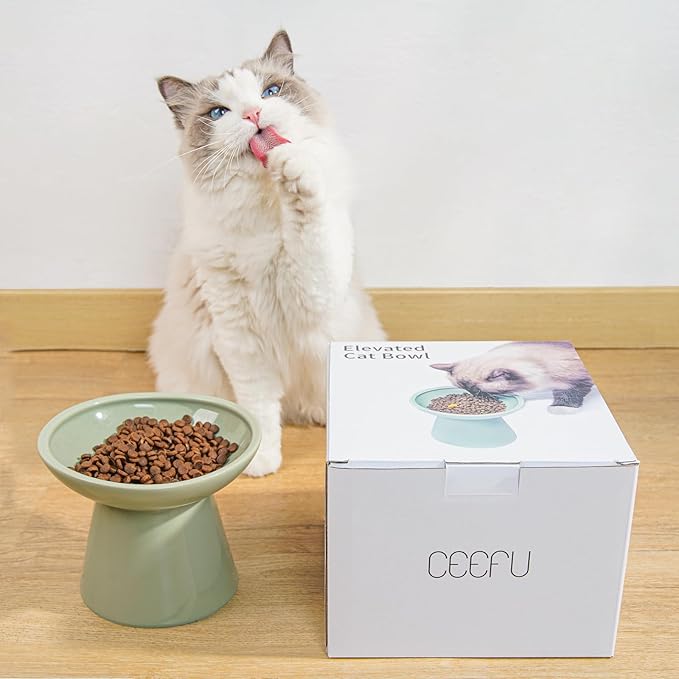 CEEFU Extra Wide Elevated Ceramic Cat Bowl, 6.2" Shallow Dish for Whisker Fatigue Relief, 5" Height for Easy Feeding, Durable Raised Cat Food Bowls, Pack of 2, Sage Green