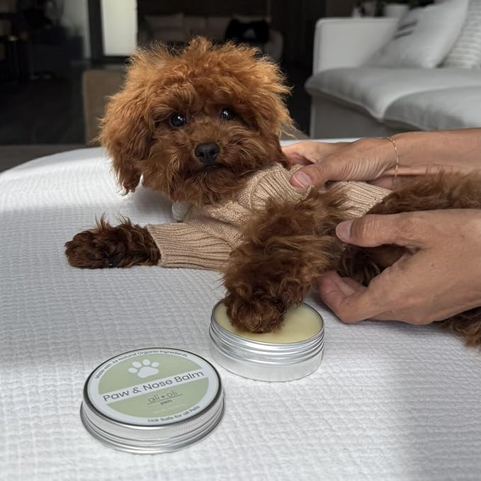 Ali+Oli Pets Paw & Nose Balm for Dogs – Daily Paw Care Grooming Balm with Organic Oils – Gentle Moisturizing Balm for Dry, Rough Paw Pads