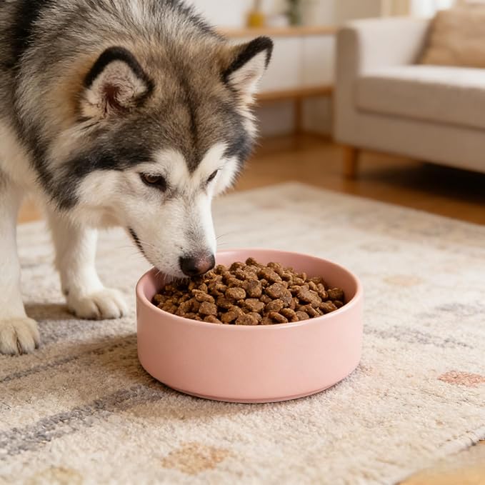13.5 oz Ceramic Pet Bowl, Non-Slip Anti-Skid Base, Easy Clean Food & Water Feeder for Cats and Small Dogs – Pink