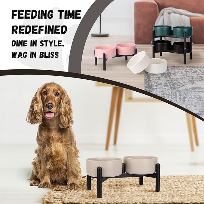 Raised Ceramic Dog Bowl Set - Elevated Double Dishes with Stainless Steel Stand - Food and Water Bowls for Small to Medium Dogs - Each Holds 3.5 Cups (29.57 fl oz) - Black