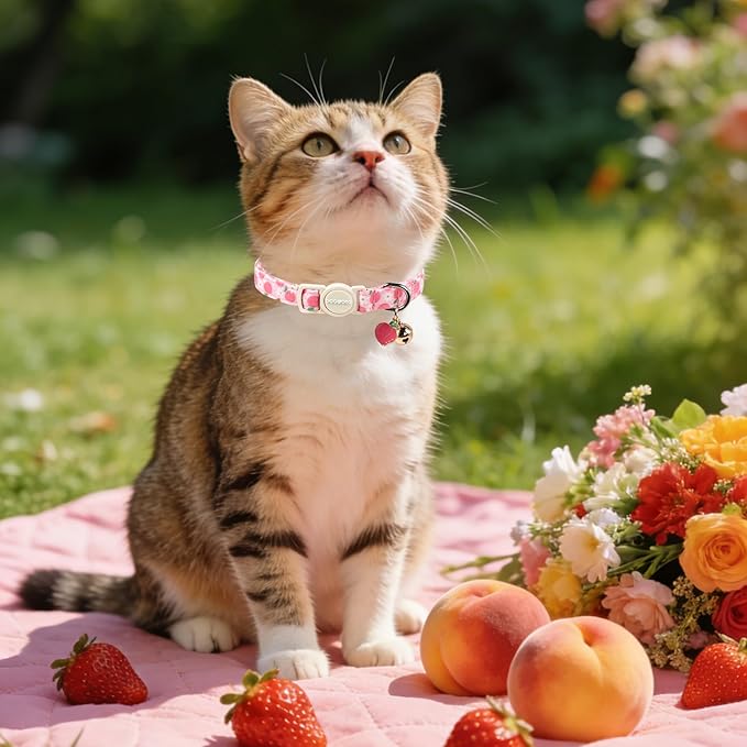 2 Pack Pink Strawberry Cat Collars Breakaway with Bell, DOGWONG Safety Buckle Peach Cat Collar for Girl Boy Cats and Small Dogs,Adjustable 7-12 Inch,Pet Supplies Accessories