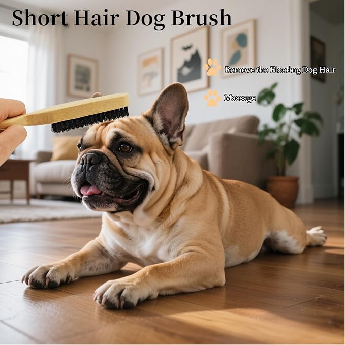 Soft Boar Bristle Dog Brush for Short Haired Dogs - Made of Bamboo, Gentle Deshedding & Grooming Tool, Ideal Dog Hair Brush for Pets, Dog Brushes for Grooming and Shedding (Small)
