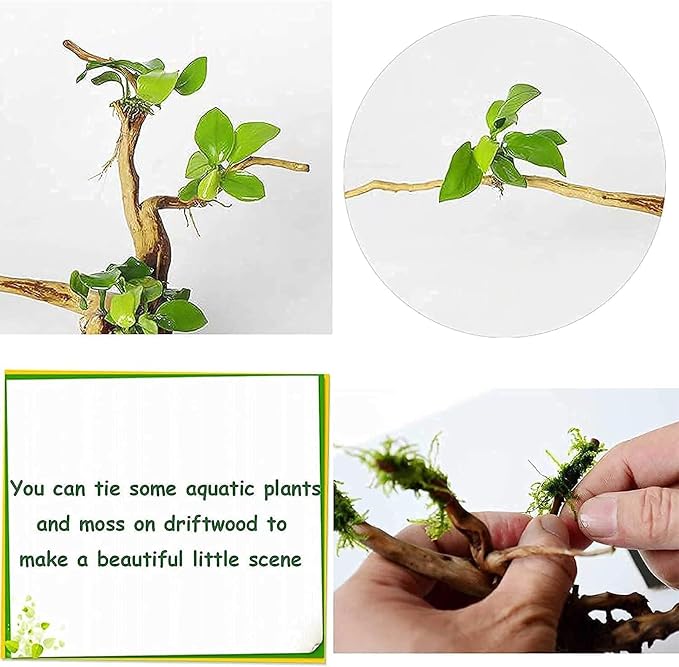 kathson Aquarium Driftwood Reptile Branches Wood Natural Spiderwood Driftwood for Aquarium 5-6" 11 Pcs Terrarium Ornament Trunk Fish Tank Log Habitat Decoration Tree Stump Decor Assorted Sizes Wood