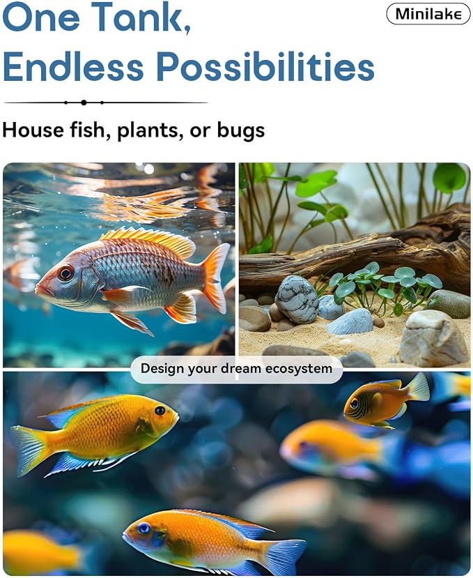 2.5 Gallon Nano Aquarium Starter Kit, Rimless Glass Fish Tank Kit | Leak-Proof Aquarium Kit with Filter, Adjustable LED Light, Lid & Mat for Betta, Goldfish, Small Fish or Shrimg