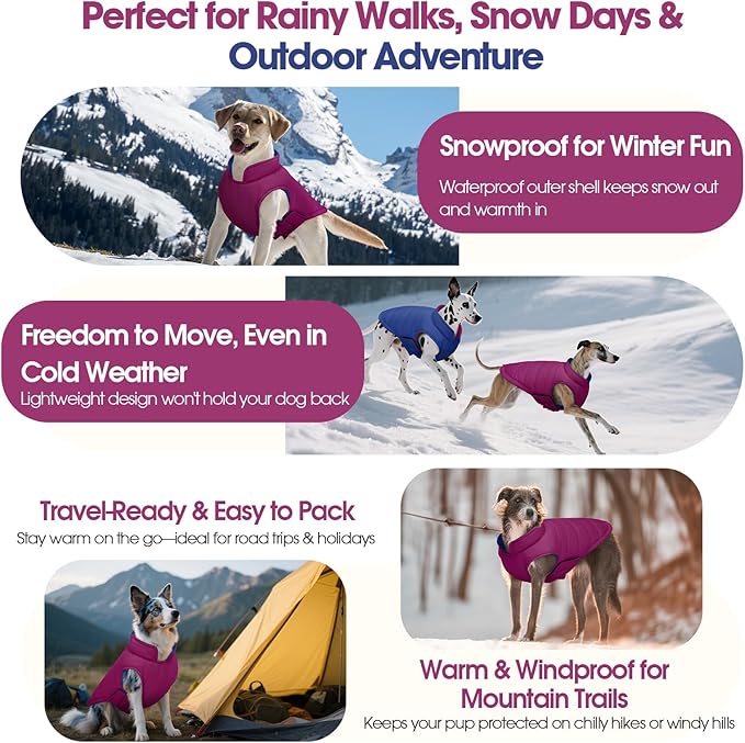 QBLEEV Reversible Dog Winter Coat, Waterproof Windproof Warm Jacket with Adjustable Hook & Loop Design, Lightweight Puffer Vest for Medium Dogs, Purple, M – Fits Pug, Beagle, Corgi