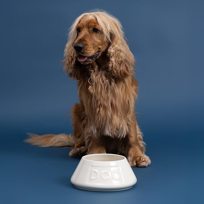 Mason Cash: Non-Tip Dog Bowl - Grey - 8.3", 54oz - Durable Ceramic Food & Water Angled Dish, Microwave-Dishwasher Safe, Pet Meal Feeding & Hydration
