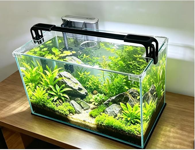 Vimvins 10 Gallon Glass Fish Tank, Easy to Maintain Small Aquarium for Betta/Shrimp and Aquatic Planting.