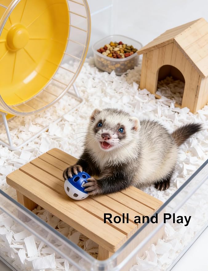 10 Pack Ferret Ball Toys Ferrets, Bell Inside, Durable PP Material, Interactive Play for Dental Health & Stimulation (1.5'' - 2.2'')