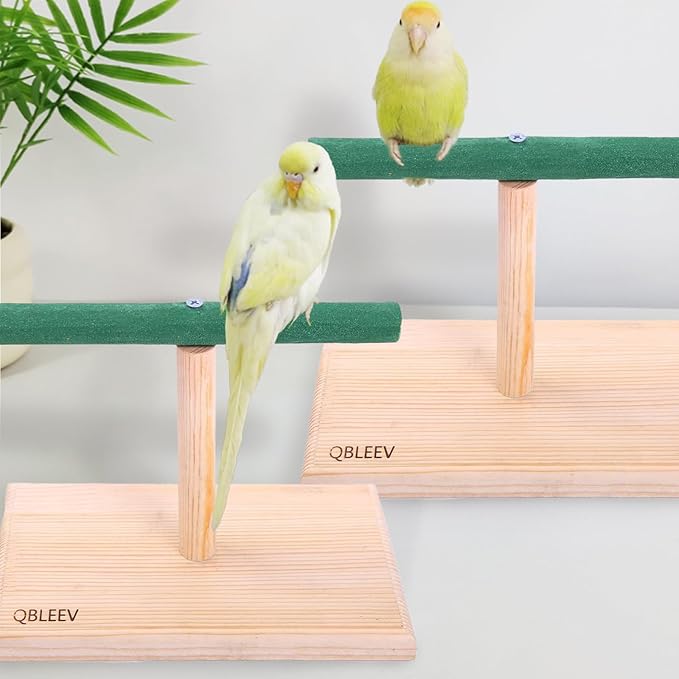 QBLEEV Small Bird Perch,Bird Play Stand,Portable Training Parrot Playstand, Bird Cage Toys for Cockatiels Conures Parakeet Finch Lovebirds